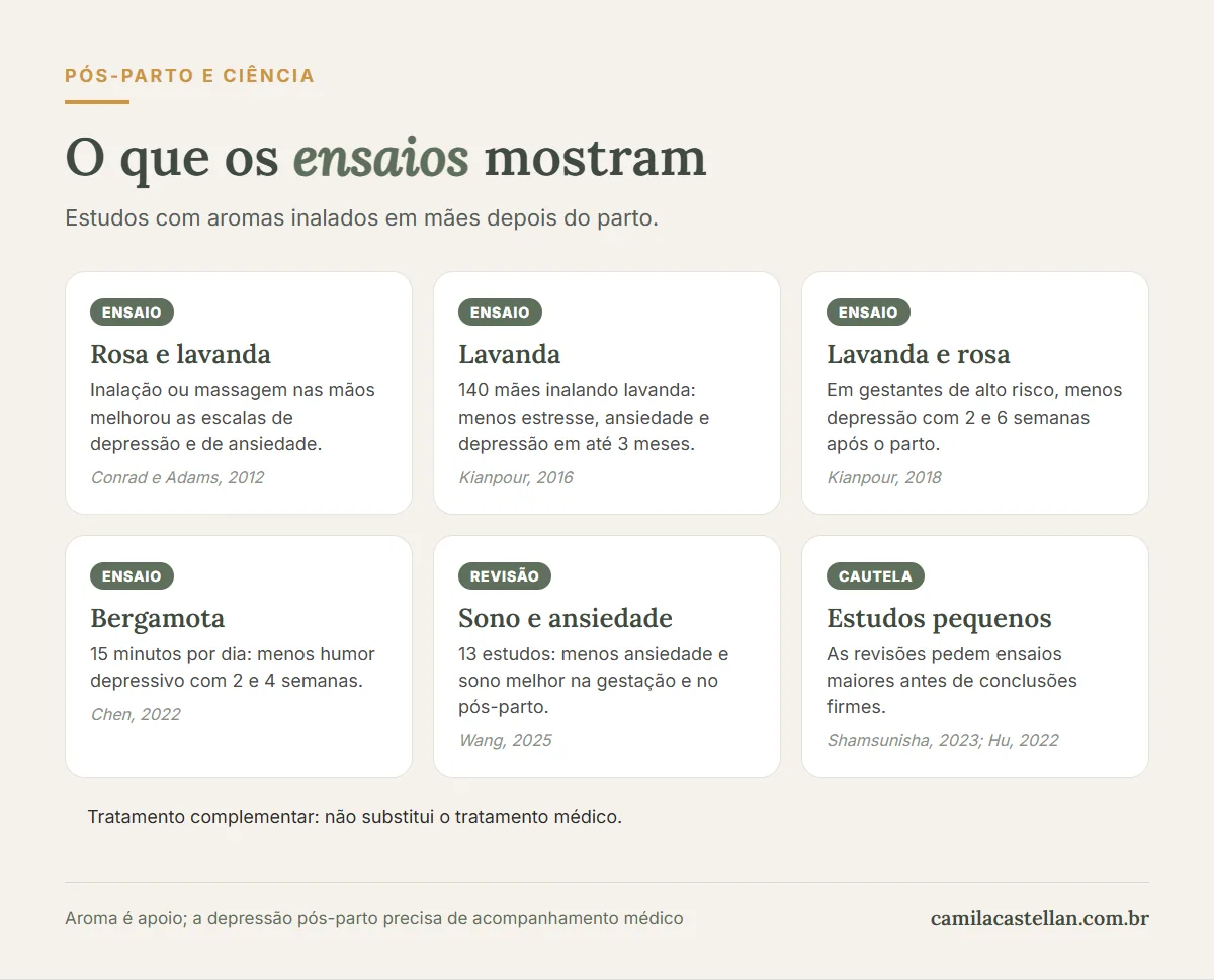 Infográfico: o que os ensaios de aromaterapia no pós-parto mostram