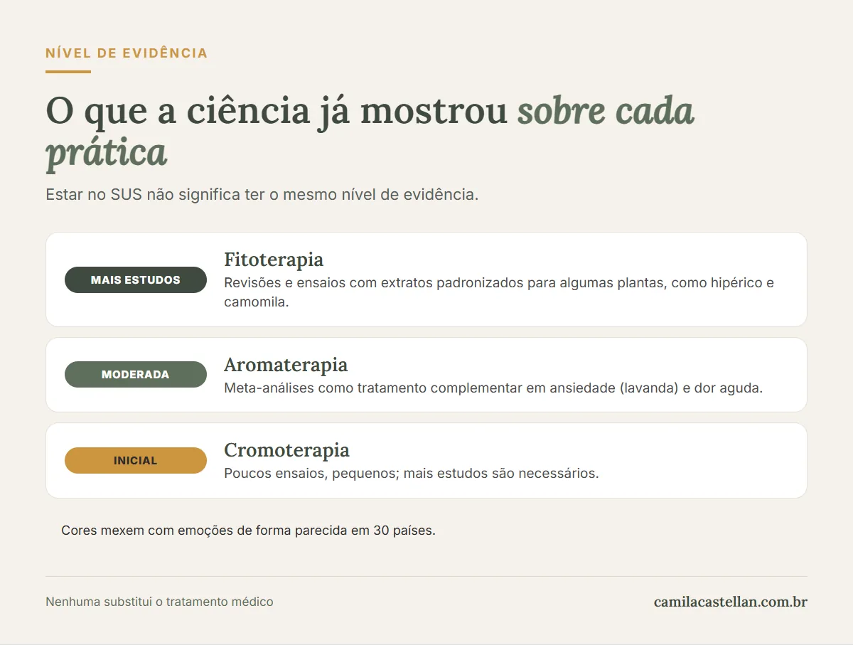 Infográfico: nível de evidência de aromaterapia, fitoterapia e cromoterapia e as portarias do SUS