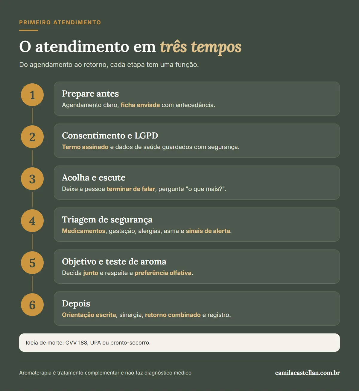 Infográfico: passo a passo do primeiro atendimento de aromaterapia, antes, durante e depois da consulta
