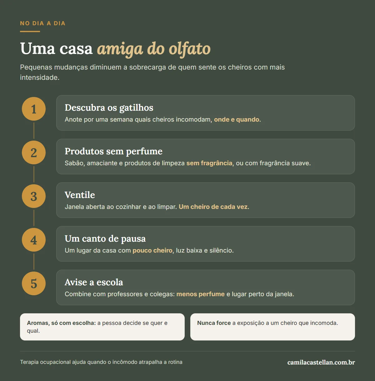 Infográfico: cinco passos para uma casa amiga do olfato