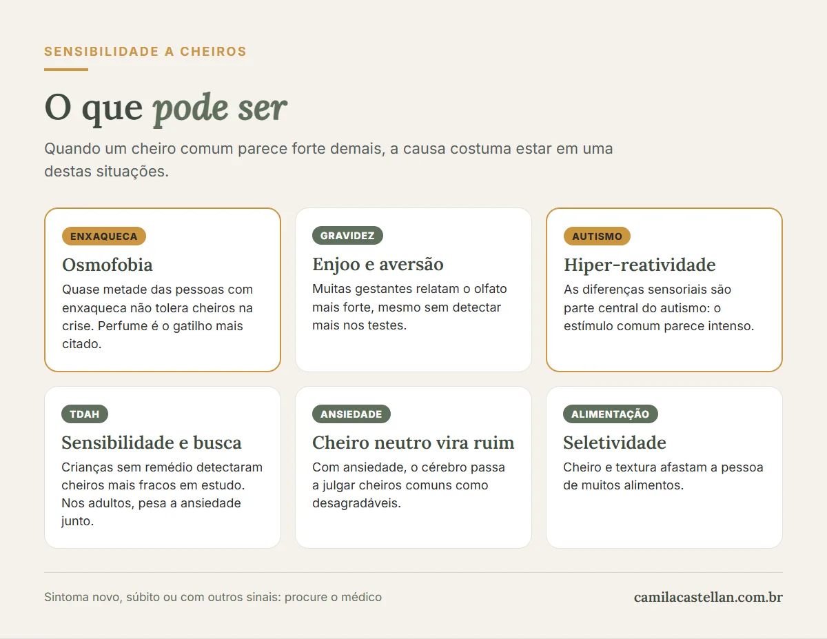 Infográfico: o que pode ser a sensibilidade a cheiros — enxaqueca, gravidez, autismo, TDAH, ansiedade e seletividade alimentar