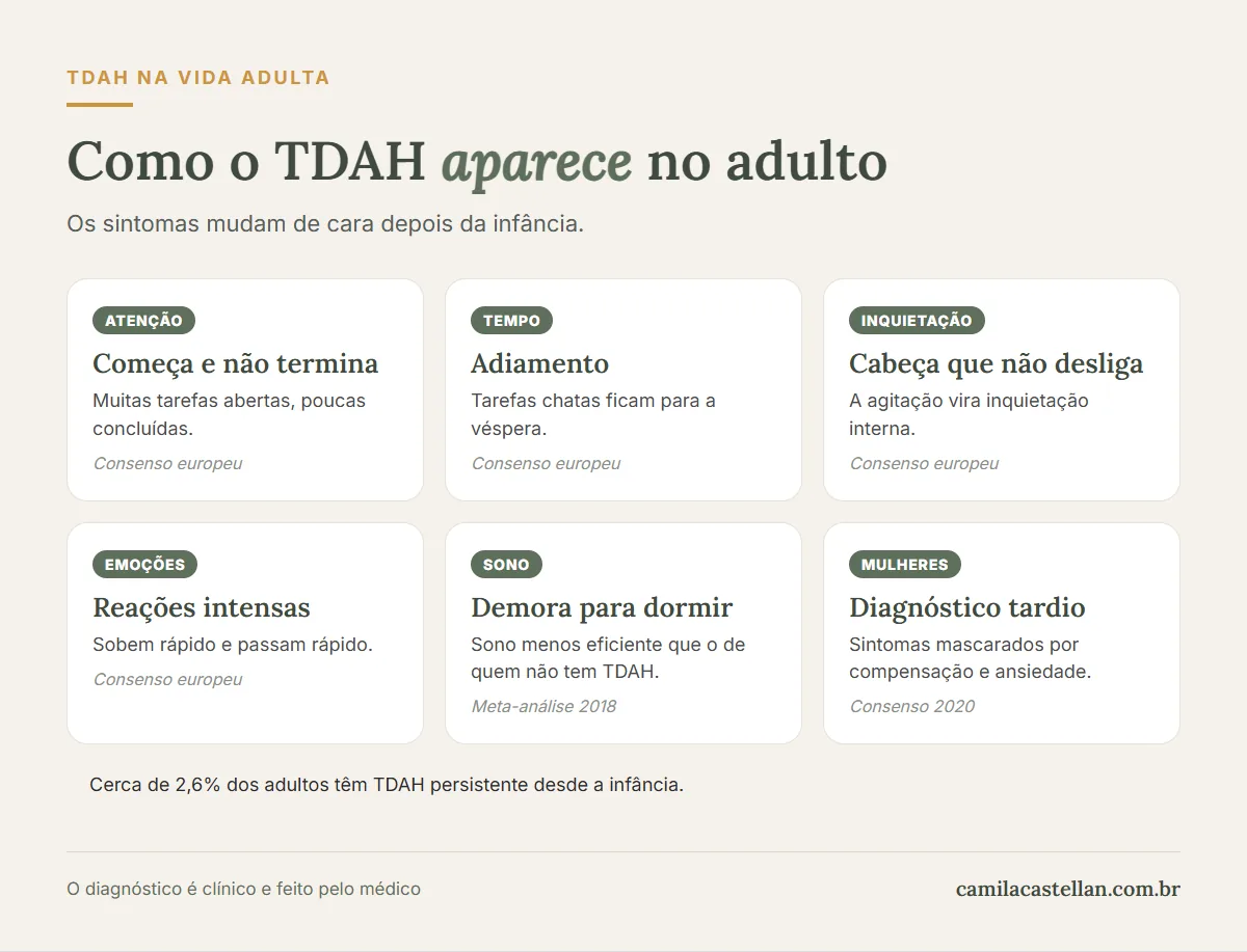 Infográfico: como o TDAH aparece na vida adulta, no trabalho, nas emoções e no sono