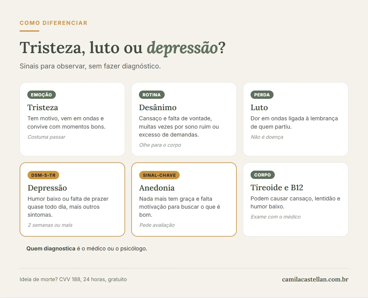 Infográfico: diferenças entre tristeza, desânimo, luto e depressão
